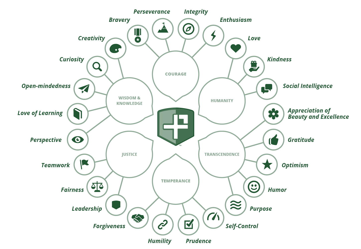 positive psychology's 24 character strengths