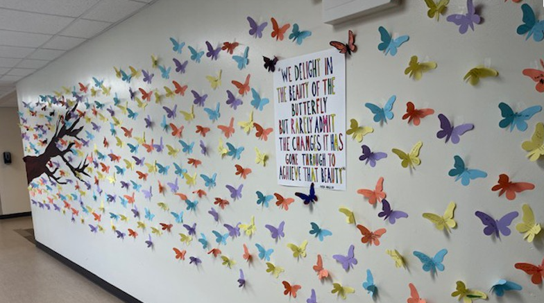 Butterflies-Board