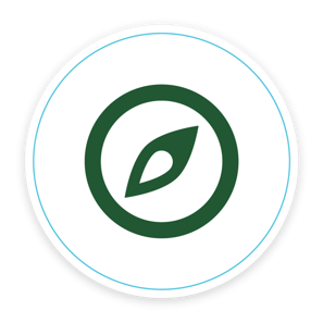 integrity-icon