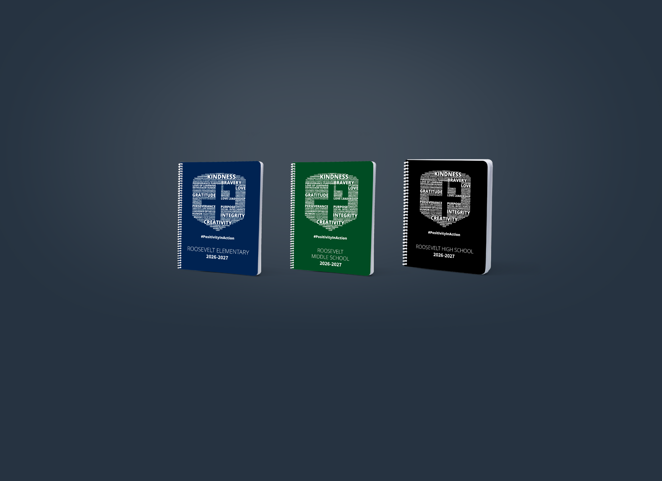 The Positivity Project Notebooks