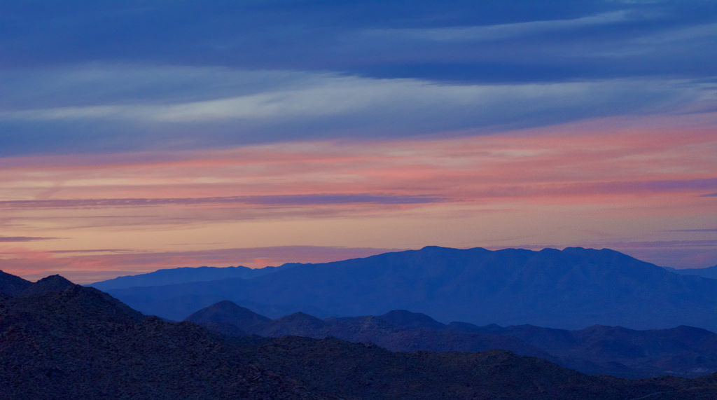 The New Science of Gratitude
