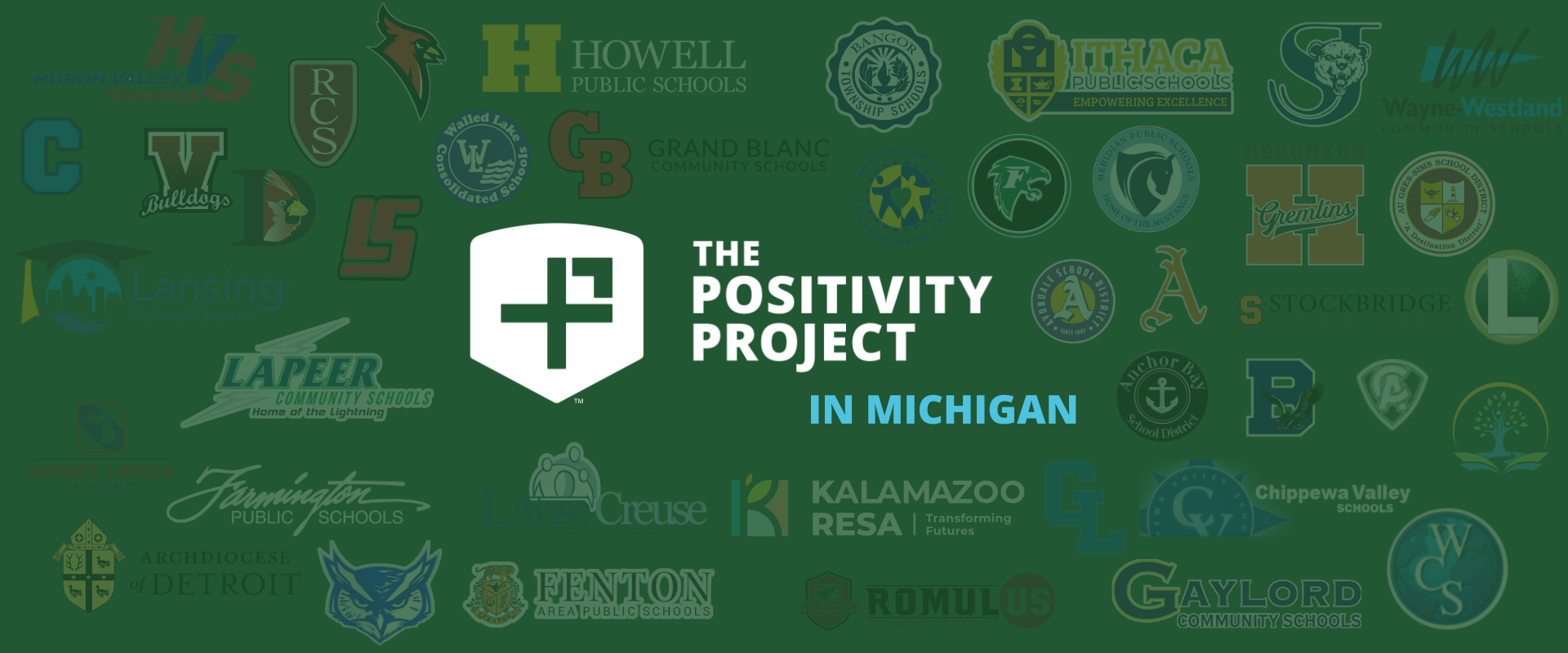 michigan p2 partner schools