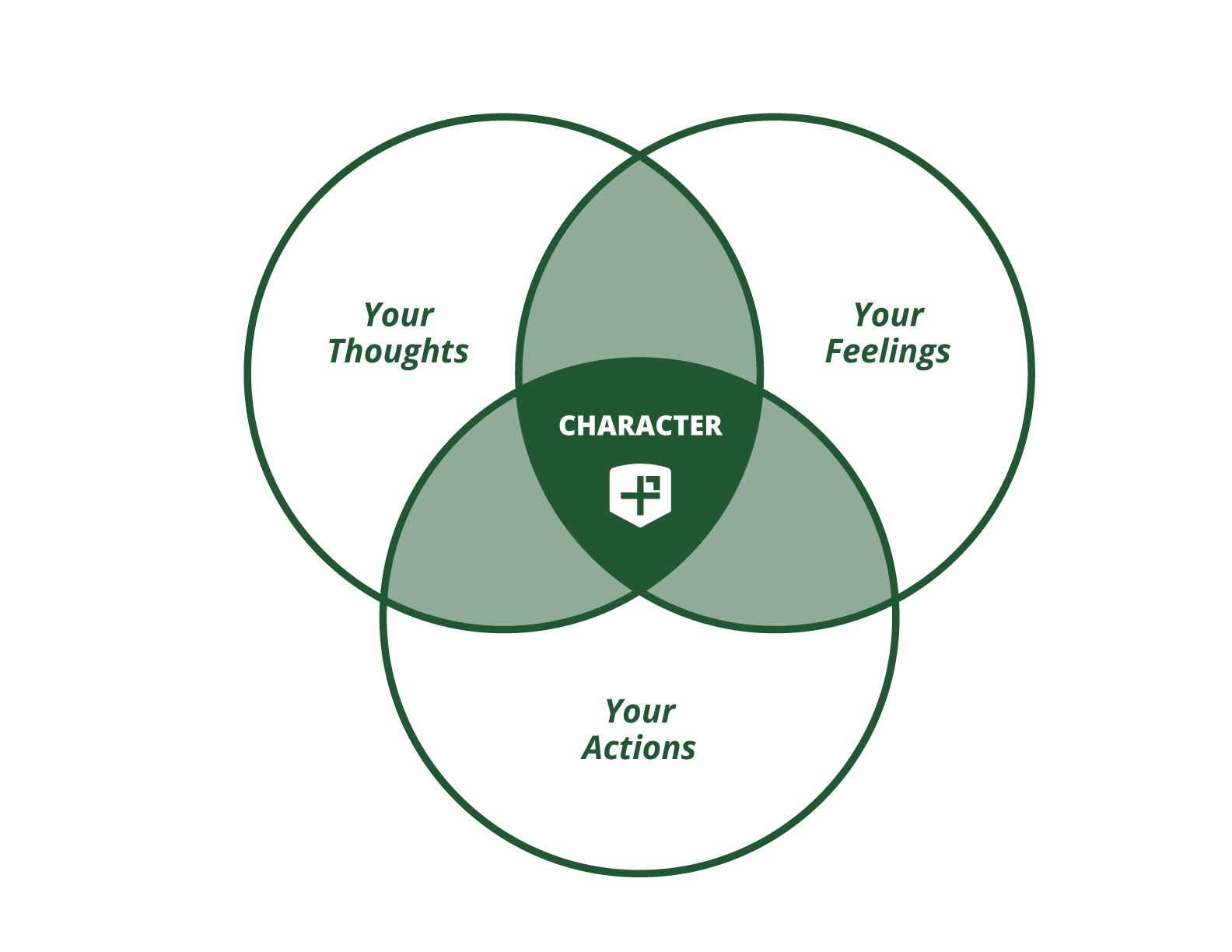 Positive Psychology's 24 Character Strengths