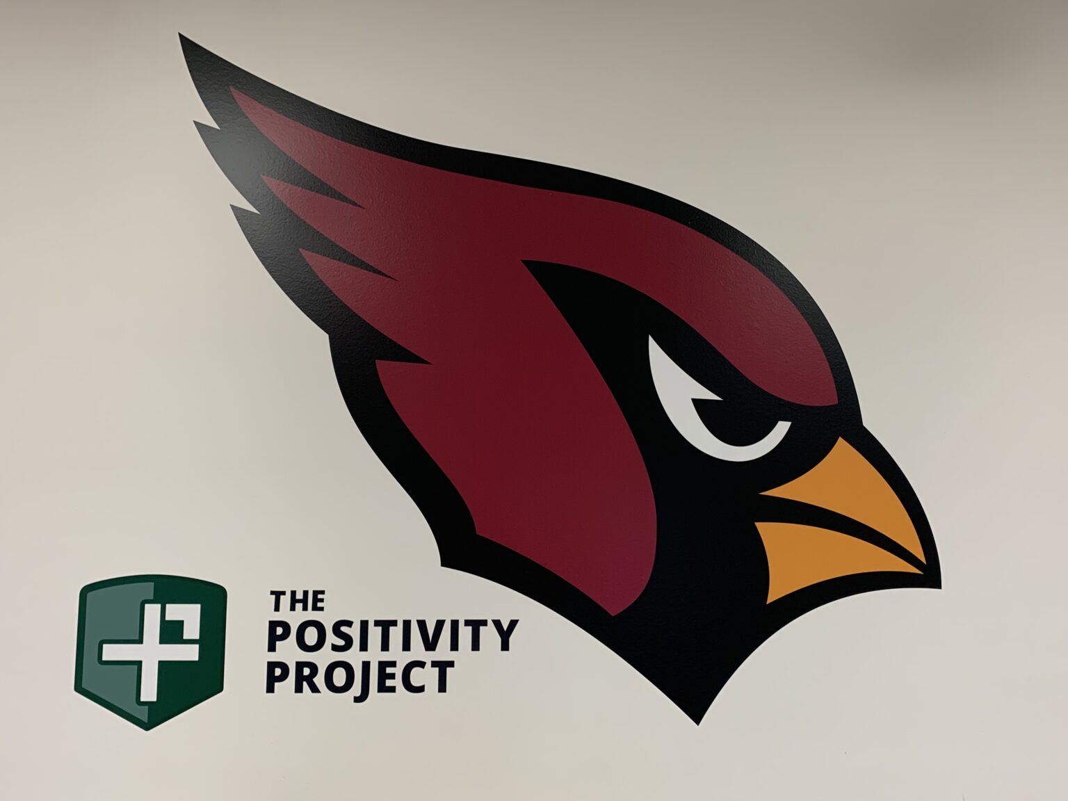 Celebrating P2 Green Shield Schools 202223 The Positivity Project
