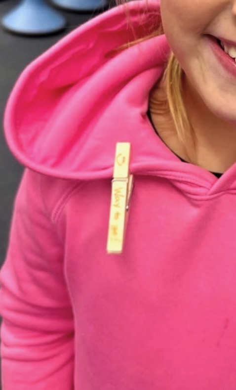 clothes-pin-on-pink-sweatshirt